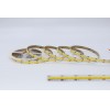 DS-COB640...
